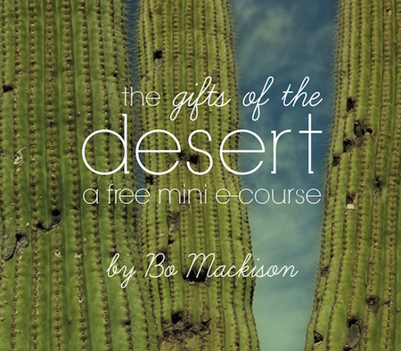 cover-gifts-of-the-deserttxt-AWEBER2 copy